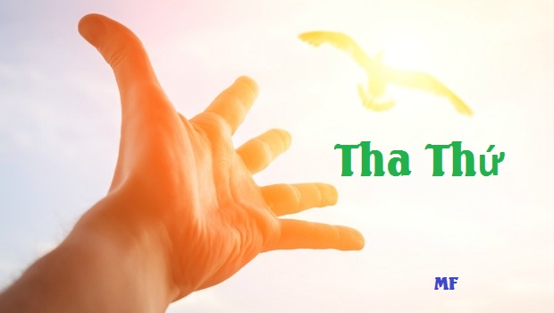 Tha thứ