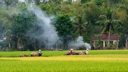 Nơi ấy