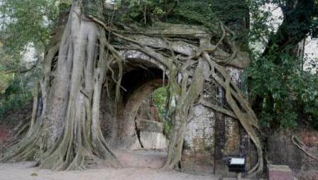 Thành Cổ Sơn Tây