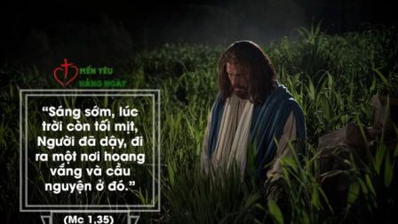 Mến Yên Hằng Ngày, Ngày 15.01.2020