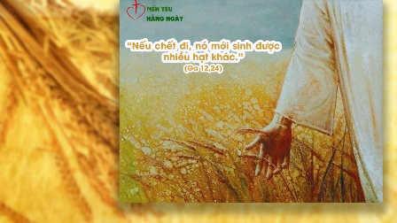 Mến Yêu Hằng NgàyThứ 2, Ngày 10.08.2020 (Ga 12,24-26)