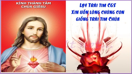 Suy Niệm Tin Mừng Lễ Thánh Tâm Chúa Giêsu (Ga 19,31-37)