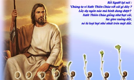 Suy Niệm Tin Mừng Chúa Nhật XI Thường Niên Năm B (Mc 4,26-34)