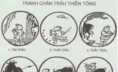 Hành Trình Tâm Linh Như Đi Tìm Trâu