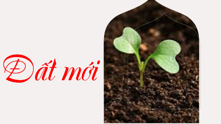 Đất Mới