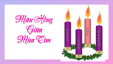 Màu Hồng Giữa Mùa Tím