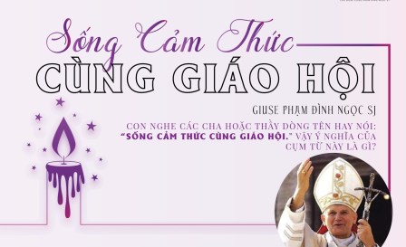 Giải Đáp Thắc Mắc Cho Người Trẻ Công Giáo: Sống Cảm Thức Cùng Giáo Hội