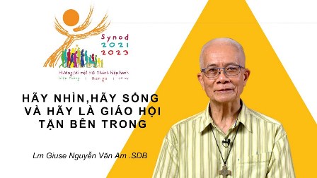 Giáo Hội Hiệp Hành: Giáo Hội Nhìn Từ Bên Trong