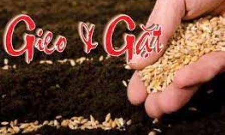 Gieo Và Gặt