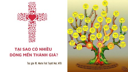 Tại Sao Có Nhiều Dòng Mến Thánh Giá?