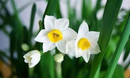 Có Một Sự “Ghen Tỵ” Rất Thánh Thiện
