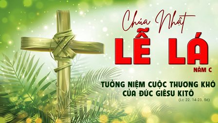 Suy Niệm Tin Mừng Chúa Nhật Lễ Lá – Năm C (Lc 22,14-23,56)
