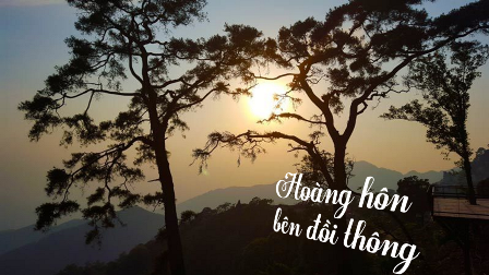 Hoàng Hôn Bên Đồi Thông