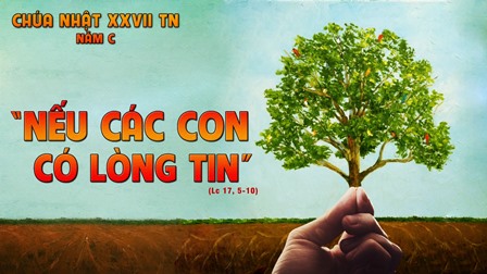 Suy Niệm Tin Mừng Chúa Nhật XXVII Thường Niên – Năm C (Lc 17,5-10)