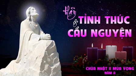 Suy Niệm Tin Mừng Chúa Nhật II Mùa Vọng – Năm A (Mt 3,1-12)