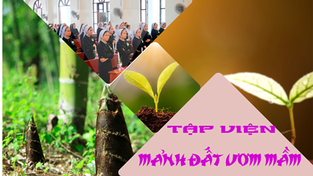 Tập Viện - Mảnh Đất Ươm Mầm
