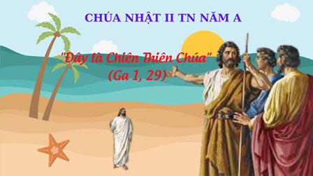 Suy Niệm Tin Mừng Chúa Nhật II TN Năm A  (Ga 1, 29 – 34)