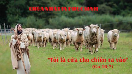 Suy Niệm Tin Mừng Chúa Nhật IV Phục Sinh  Năm A (Ga 10,1-10)