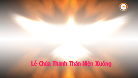 Suy Niệm Tin Mừng Lễ Chúa Thánh Thần Hiện Xuống Năm A ( Ga 20,19-23)