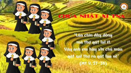 Suy Niệm Tin Mừng Chúa Nhật XI Thường Niên Năm A (Mt 9,36 -10,8)