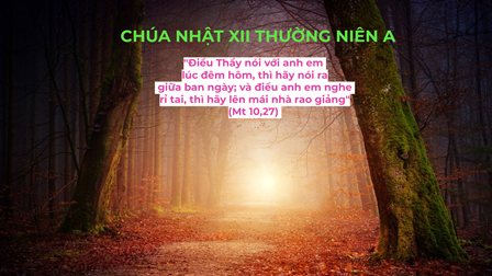 Suy Niệm Tin Mừng Chúa Nhật XII Thường Niên A (Mt 10,26-33)