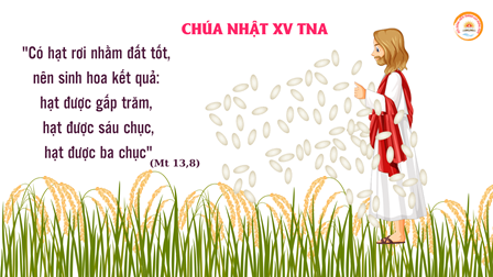 Suy Niệm Tin Mừng Chúa Nhật XV Thường Niên A (Mt 13, 1-23)