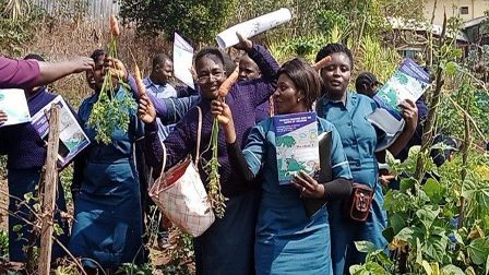 Trường Công Giáo Ở Camerun Thực Hành Thông Điệp Laudato Si'