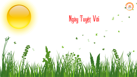 Ngày Tuyệt Vời