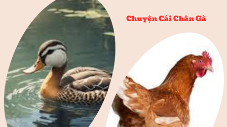 Chuyện Cái Chân Gà