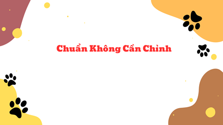 Chuẩn Không Cần Chỉnh