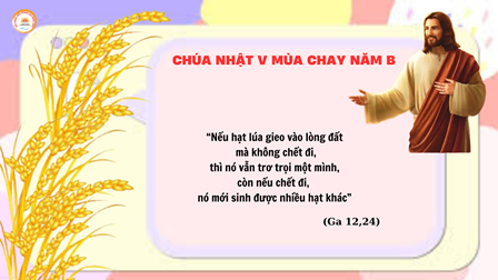 Suy Niệm Tin Mừng  Chúa Nhật V Mùa Chay Năm B (Ga 12,20-33)