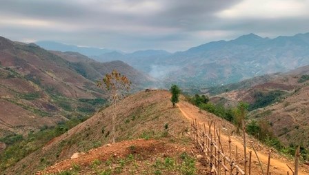 Tình Yêu Chẳng Từ Chối Gian Nan