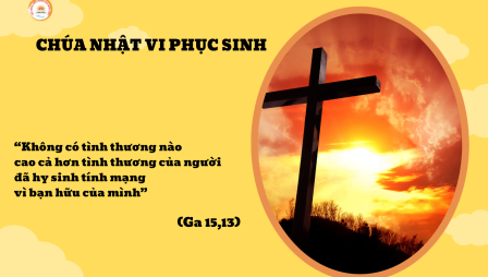 Suy Niệm Tin Mừng Chúa Nhật VI Phục Sinh Năm B (Ga 15,9-17)