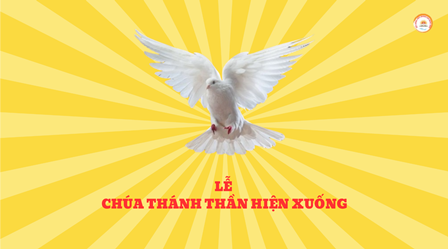 Suy Niệm Tin Mừng Lễ Chúa Thánh Thần Hiện Xuống  (Ga 20,19-23)