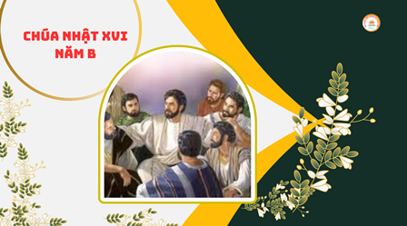 Suy Niệm Tin Mừng Chúa Nhật XVI Thường Niên B (Mc 6,30-34)