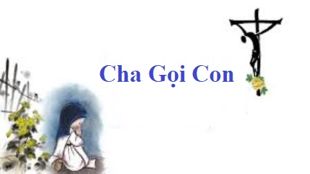 Cha Gọi Con