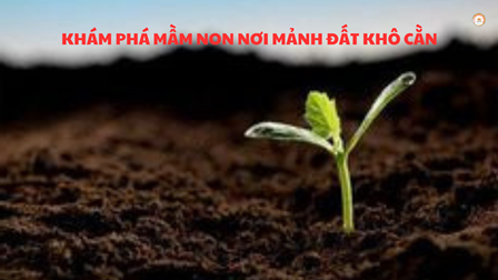 Khám Phá Mầm Non Nơi Mảnh Đất Khô Cằn