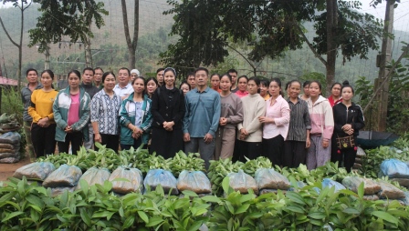 Trao Tặng Cây Quế Giống Cho Các Hộ Gia Đình Chịu Ảnh Hưởng Thiên Tai Tại Huyện Văn Yên, Tỉnh Yên Bái