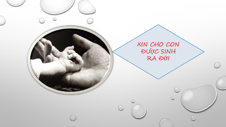 Xin Cho Con Được Sinh Ra Đời