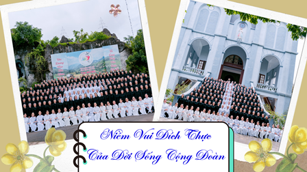 Gợi Ý Tĩnh Tâm Tháng 11.2025: Niềm Vui Đích Thực Của Đời Sống Cộng Đoàn